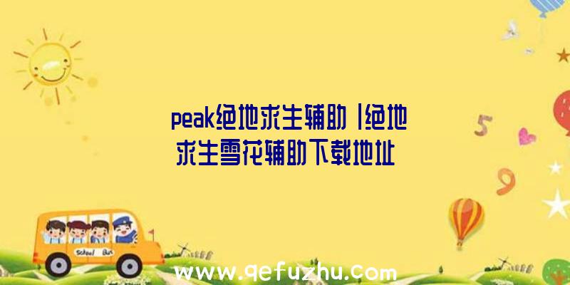 「peak绝地求生辅助」|绝地求生雪花辅助下载地址